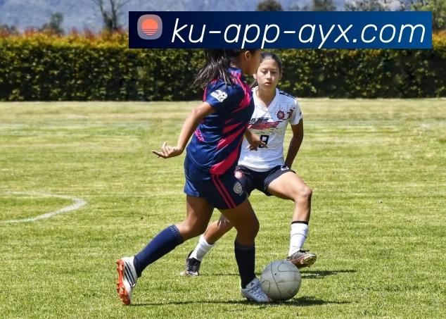 爱游戏AYX品牌故事