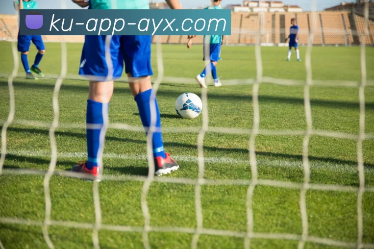 爱游戏AYX服务体系